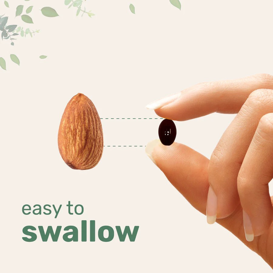 Micro Ingredients Astaxanthin 12mg, 120 softgels, tanning pills, Strength Carotenoids Skin Supplement w. 100% Natural Astaxanthin from MicroAlgae (2 packs)